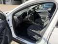 Ford Focus 1,5 EcoBlue Trend Edition Aut. Weiß - thumbnail 11