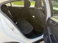 Ford Focus 1,5 EcoBlue Trend Edition Aut. Weiß - thumbnail 15