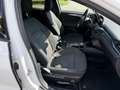 Ford Focus 1,5 EcoBlue Trend Edition Aut. Weiß - thumbnail 17