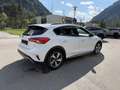 Ford Focus 1,5 EcoBlue Trend Edition Aut. Weiß - thumbnail 5