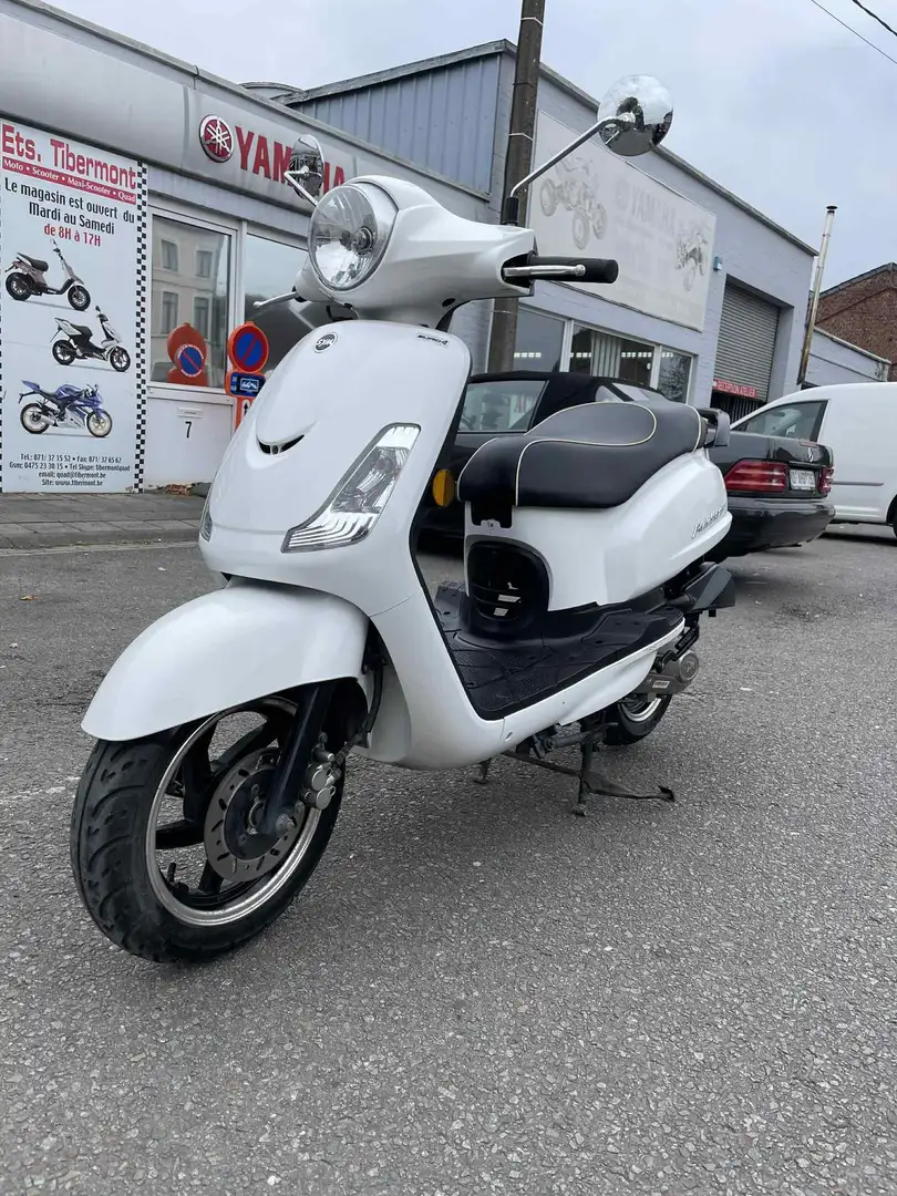 SYM Fiddle 50 Wit - 2