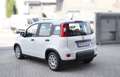 Fiat Panda Panda 1.0 firefly hybrid-OK NEOPATENTATI Bianco - thumbnail 5