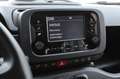 Fiat Panda Panda 1.0 firefly hybrid-OK NEOPATENTATI Bianco - thumbnail 13