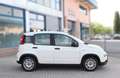 Fiat Panda Panda 1.0 firefly hybrid-OK NEOPATENTATI Bianco - thumbnail 3