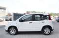 Fiat Panda Panda 1.0 firefly hybrid-OK NEOPATENTATI Bianco - thumbnail 4