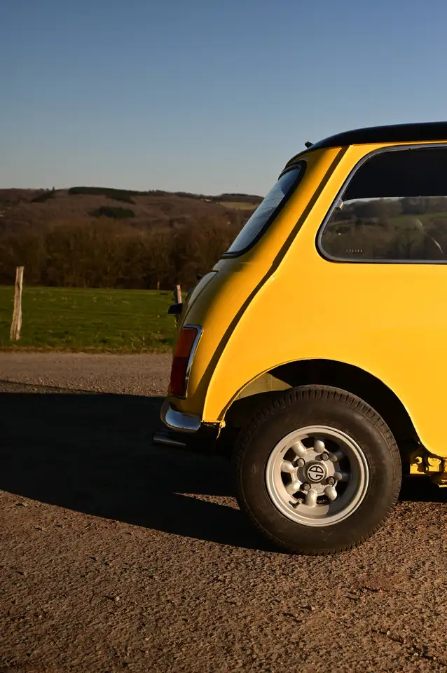 MINI 1000 Leyland LE, foto 8