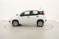 Fiat Panda Easy 0.9 Metano 85CV Bianco - thumbnail 2