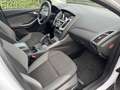 Ford Focus Wagon 1.0 EcoBoost Titanium * Airco * Carplay * Cr Wit - thumbnail 11