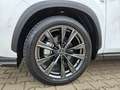 Lexus NX 350h 4x4 F-Sport Pano, Mark Levinson, 4x SHZ Weiß - thumbnail 5