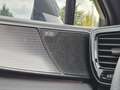 Lexus NX 350h 4x4 F-Sport Pano, Mark Levinson, 4x SHZ Weiß - thumbnail 23