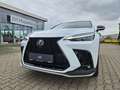 Lexus NX 350h 4x4 F-Sport Pano, Mark Levinson, 4x SHZ Weiß - thumbnail 3