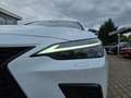 Lexus NX 350h 4x4 F-Sport Pano, Mark Levinson, 4x SHZ Weiß - thumbnail 4