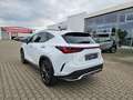 Lexus NX 350h 4x4 F-Sport Pano, Mark Levinson, 4x SHZ Weiß - thumbnail 7