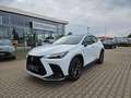 Lexus NX 350h 4x4 F-Sport Pano, Mark Levinson, 4x SHZ Weiß - thumbnail 2