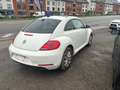 Volkswagen Beetle 1.2 TSI Design  • Garantie 24 mois Blanc - thumbnail 6