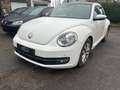 Volkswagen Beetle 1.2 TSI Design  • Garantie 24 mois Weiß - thumbnail 1