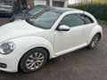 Volkswagen Beetle 1.2 TSI Design  • Garantie 24 mois Wit - thumbnail 2