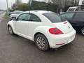 Volkswagen Beetle 1.2 TSI Design  • Garantie 24 mois Blanc - thumbnail 3