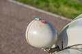 Citroen 2CV AZ ENAC - thumbnail 7