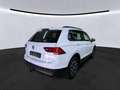 Volkswagen Tiguan Comfortline*4Motion*NAVI*AHK*ACC*17*8FACH Weiß - thumbnail 4
