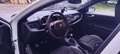 Alfa Romeo Giulietta 1750 tbi Quadrifoglio Verde 235cv - thumbnail 4