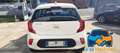 Kia Picanto 1.0 12V 5p. Urban Special Edition "PROMO" Bianco - thumbnail 4