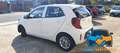Kia Picanto 1.0 12V 5p. Urban Special Edition "PROMO" Bianco - thumbnail 3