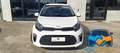 Kia Picanto 1.0 12V 5p. Urban Special Edition "PROMO" Bianco - thumbnail 8
