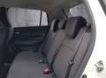 Suzuki Swift 1,2 Hybrid Allgrip Flash Weiß - thumbnail 13