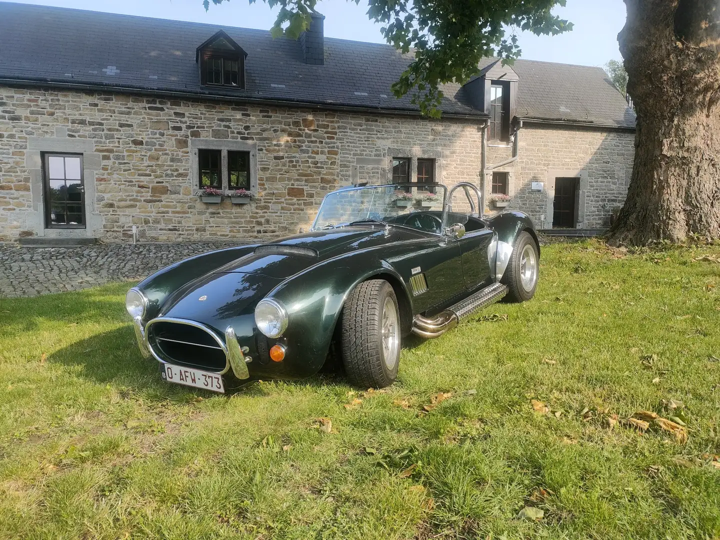 AC Cobra - 1