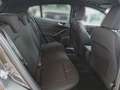 Ford Focus 1.0 EcoBoost Hybrid ST-LINE RFK+WINTERP. Grau - thumbnail 19