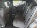 Ford Focus 1.0 EcoBoost Hybrid ST-LINE RFK+WINTERP. Grau - thumbnail 20