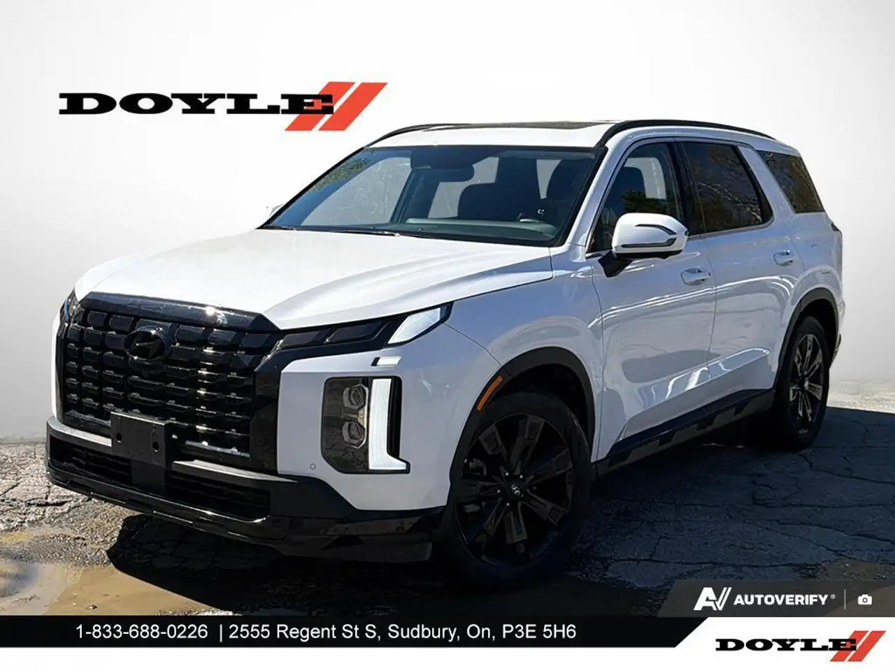 Hyundai PALISADE снимка Hyundai PALISADE