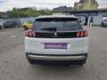 Peugeot 3008 1,2 PureTech 130 S&S EAT8 GT Line Weiß - thumbnail 6