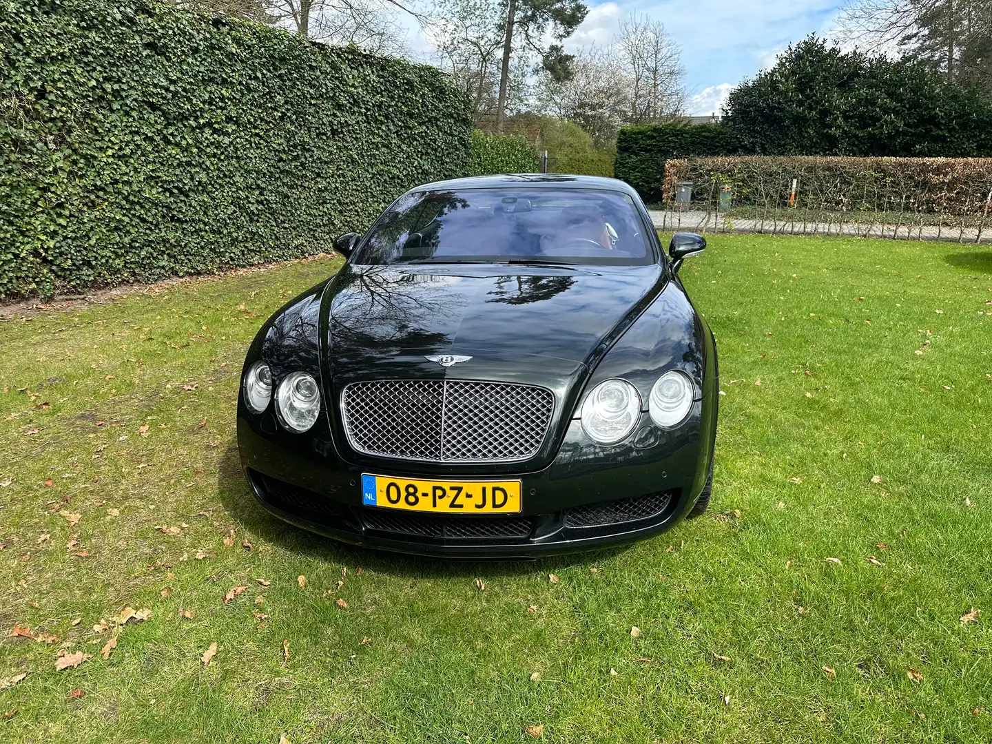 Bentley Continental 6.0 W12 Grün - 2