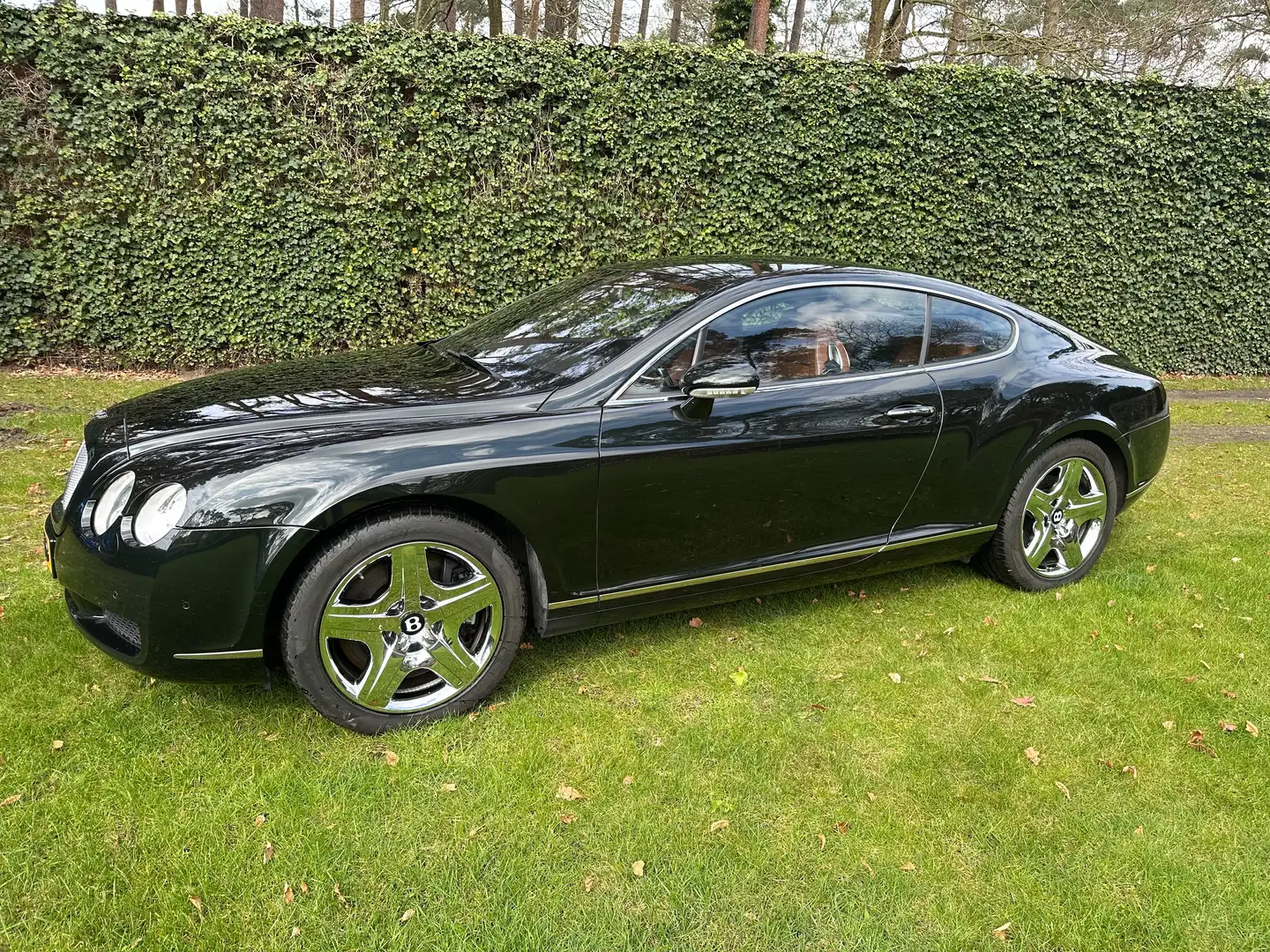 Bentley Continental 6.0 W12 Green - 1