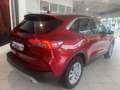 Ford Kuga 1.5  TITANIUM/Winter-Paket/I. Hd. Rot - thumbnail 4