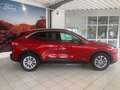 Ford Kuga 1.5  TITANIUM/Winter-Paket/I. Hd. Rot - thumbnail 3