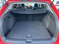 Volkswagen Golf Variant VIII Goal 1.5 eTSI DSG Anh.Kpl. Led-Plus Kamera Rot - thumbnail 14