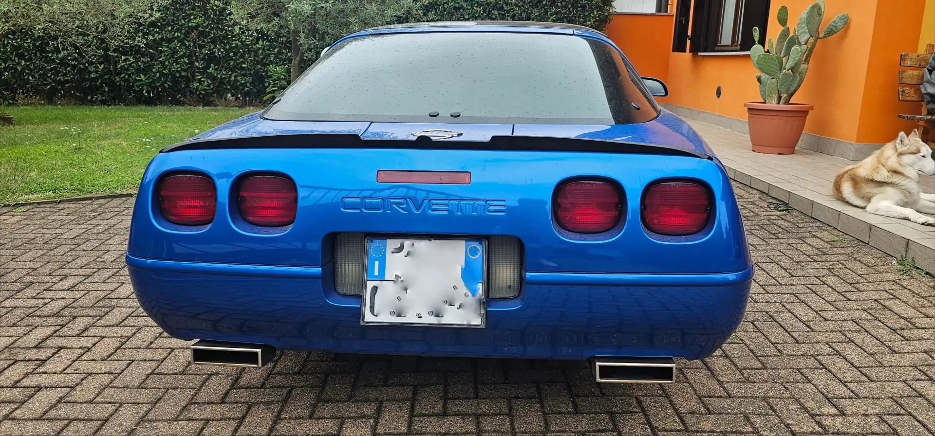 Chevrolet Corvette c4 collector edition 5.7 v8 iscritta asi Modrá - 2