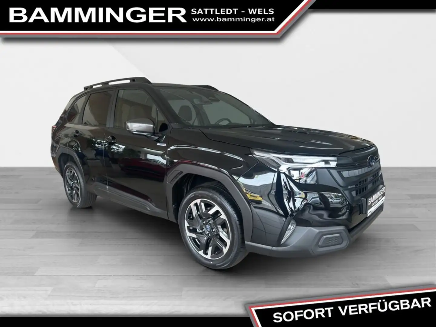 Subaru Forester 2,0i e-Boxer Style Xtra & Winterreifen Schwarz - 2