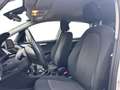 BMW 216 216i Active Tourer Bianco - thumbnail 11
