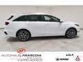 Kia Ceed SW / cee'd SW Ultimate Edition 1.5 T-GDI Mild-Hybrid (P8) Navi A Bianco - thumbnail 4