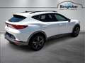 CUPRA Formentor 1.5 TSI 150 PS DSG ACT Weiß - thumbnail 4