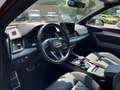Audi Q5 35 TDI qu S line AHK ACC HuD Kameras Rot - thumbnail 14
