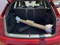 Audi Q5 35 TDI qu S line AHK ACC HuD Kameras Rot - thumbnail 8