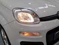 Fiat Panda 1.2 Lounge Blanco - thumbnail 19