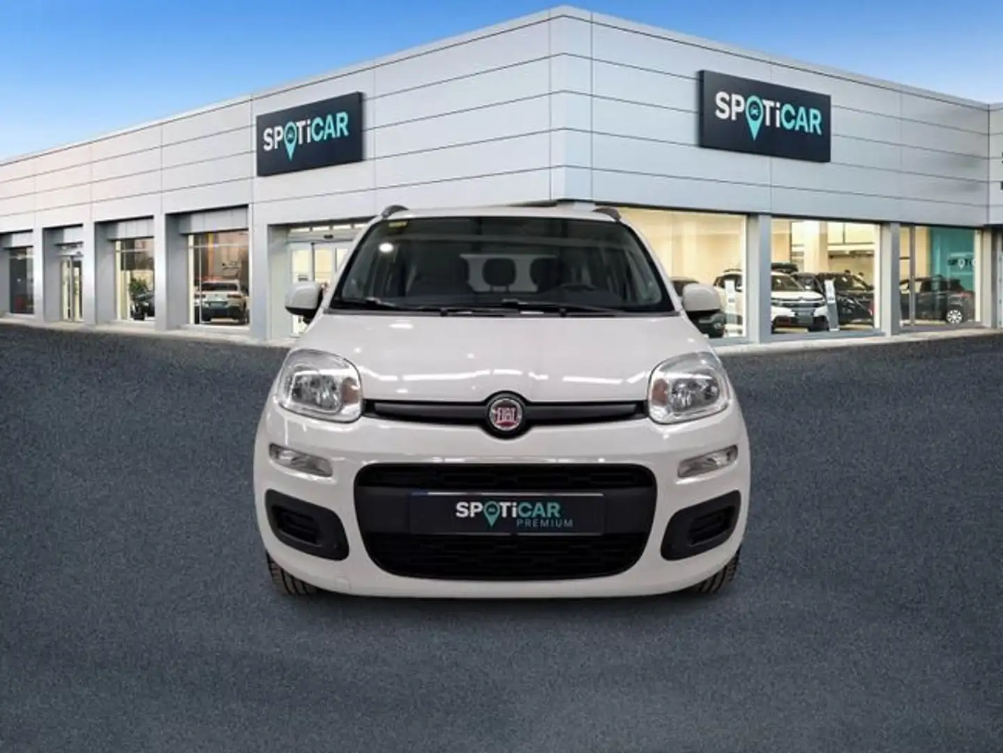 Fiat Panda 1.2 Lounge Blanco - 2