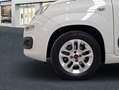 Fiat Panda 1.2 Lounge Blanco - thumbnail 11