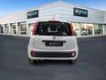Fiat Panda 1.2 Lounge Blanco - thumbnail 5